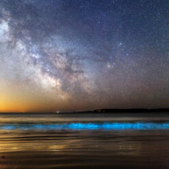 Île d'Houat : Plancton phosphorescent