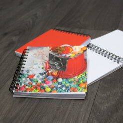 Carnets de note de Katy Sannier