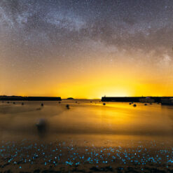 Île d'Hoëdic : Planctons phosphorescents