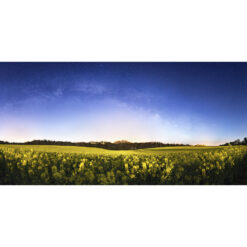 Merrien : Champ de colza sous la Lune