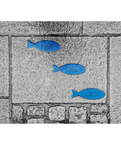 Photo à encadrer Brèves de rue "Trois poissons bleus"