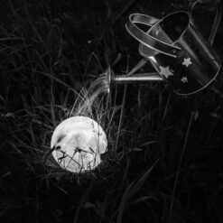 Photo à encadrer Lune sous un nouveau jour "La Lune sous un arrosoir"