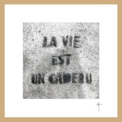 Mini-cadre "la vie est un cadeau"