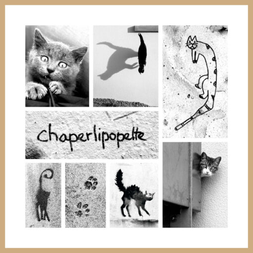 Photo "Chaperlipopette"